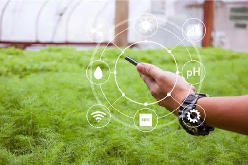 هوشمند سازی گلخانه