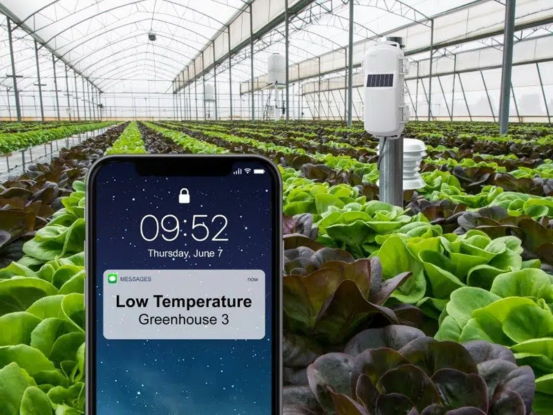 سیستم هوشمند کنترل دمای گلخانه