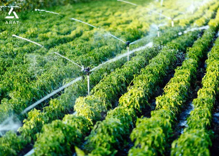راه اندازی آبیاری هوشمند در مزارع با بازدهی بالا