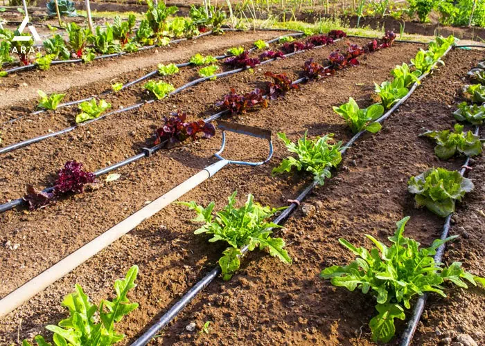 کنترل مصرف آب و کاهش هزینههای اضافه با آبیاری هوشمند