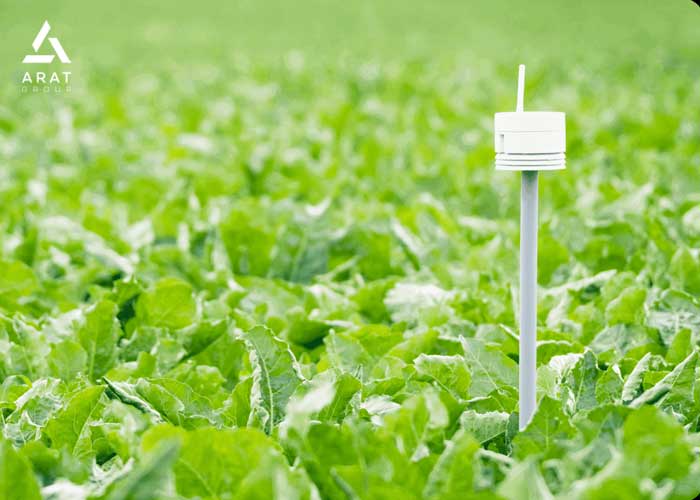 انواع حسگر باران برای سیستم آبیاری هوشمند باغچه