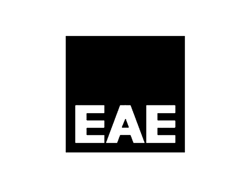 نمایندگی هوشمند سازی EAE 