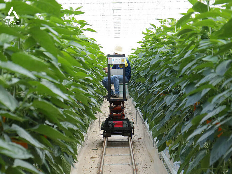 کشاورزیِ هوشمند در هلند
