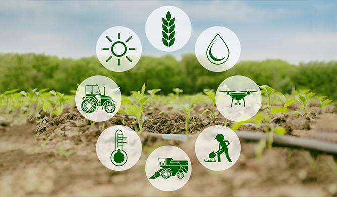 هوشمند سازی کشاورزی: معرفی سیستم هوشمند سازی کشاورزی + عکس